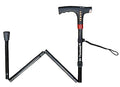 Walking Stick